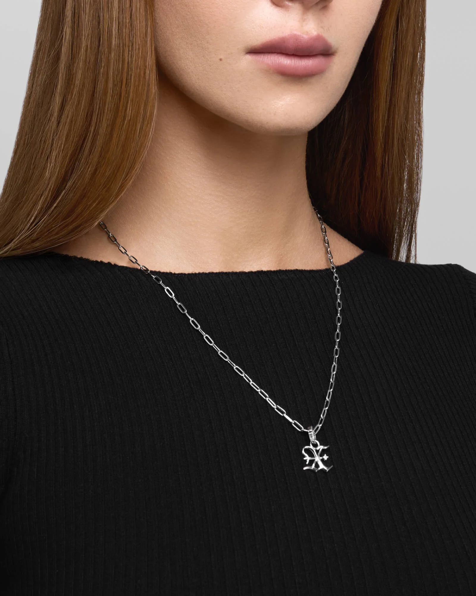 Lynx Necklace and Charm Bundle
