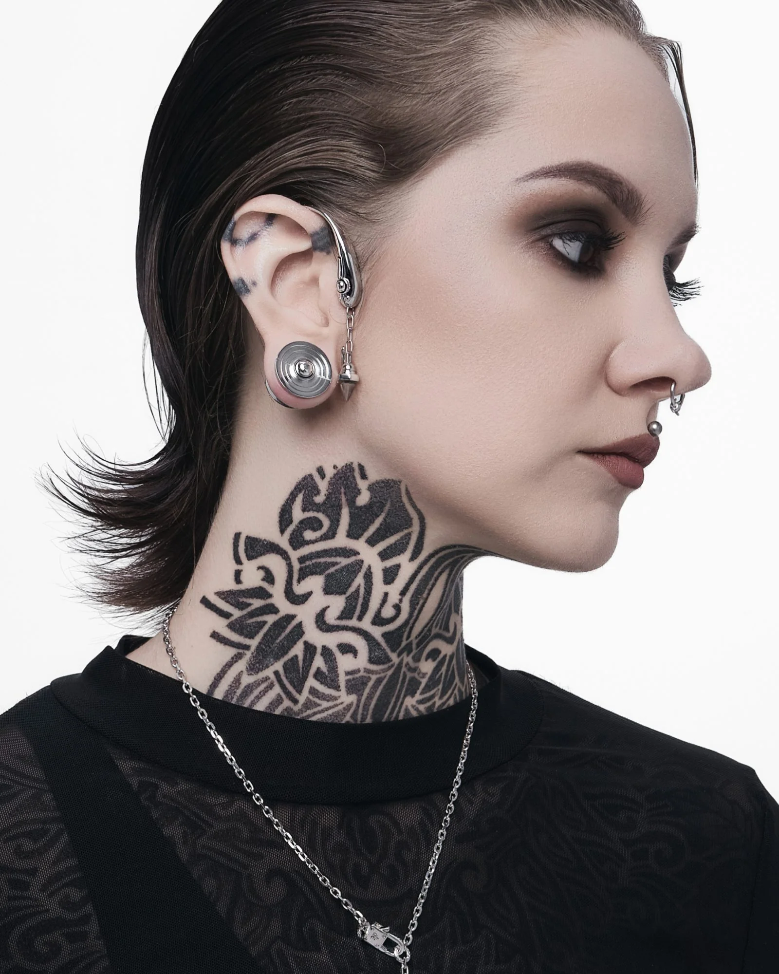 Paradigm Plugs - Image 3