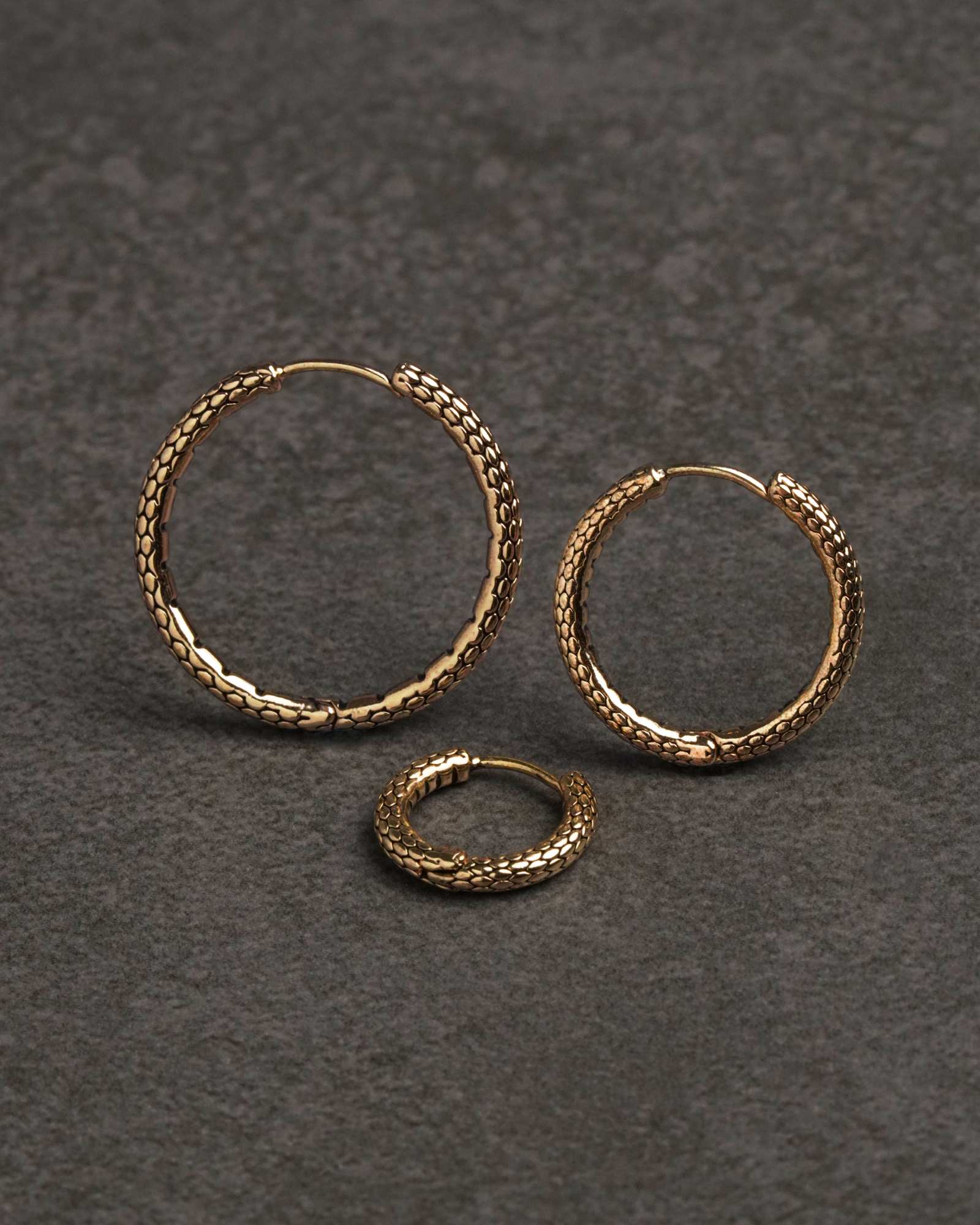 Serpent Hoop Earrings - Image 5