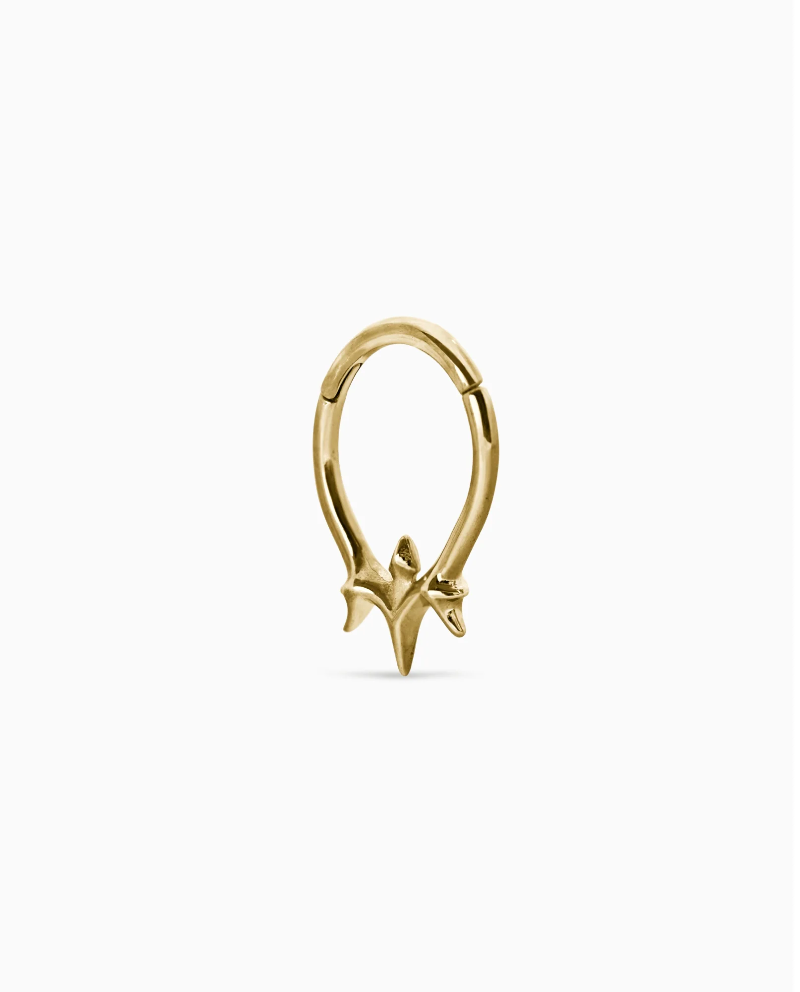 Vertebrae clicker - Image 6