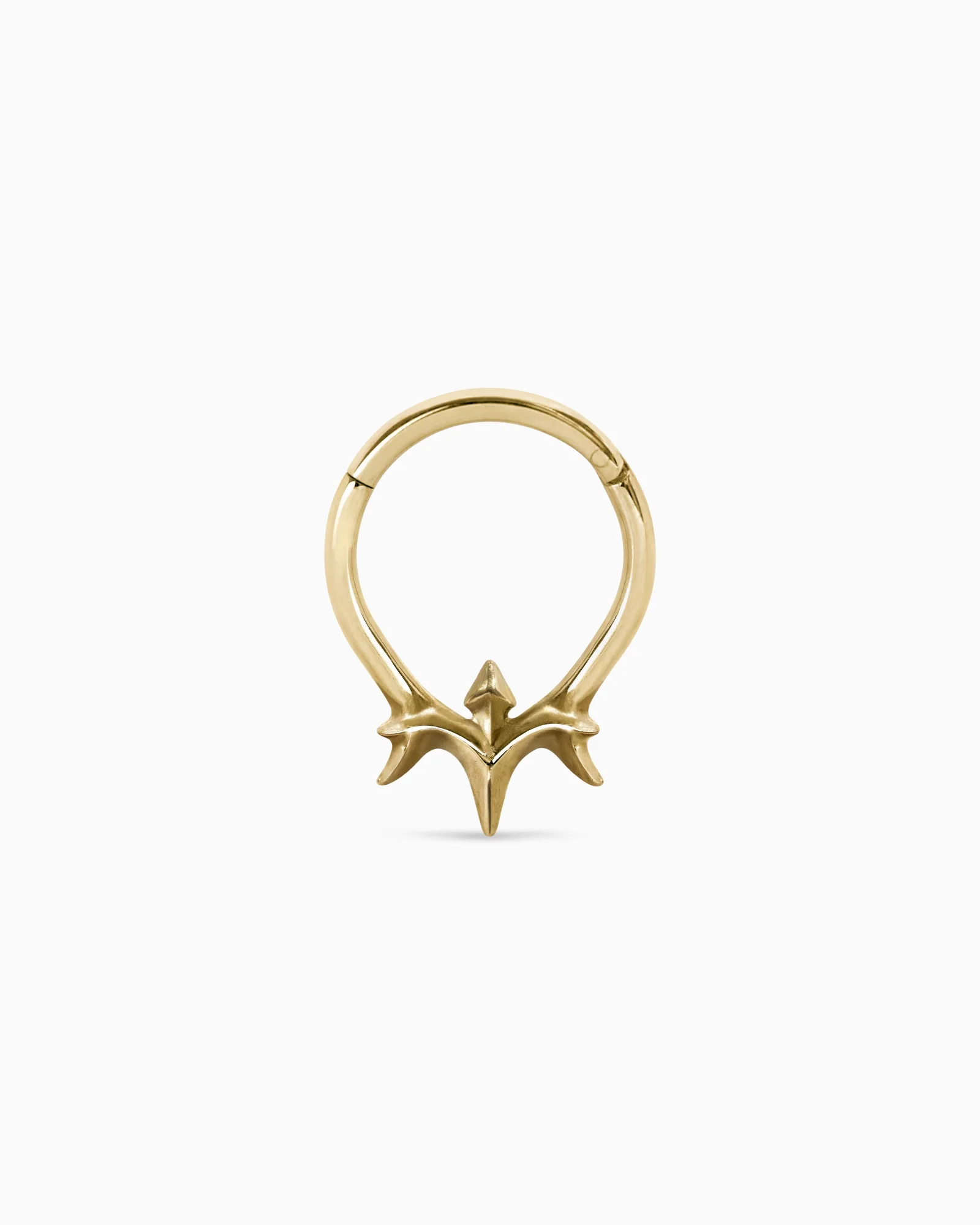 Vertebrae clicker - Image 7